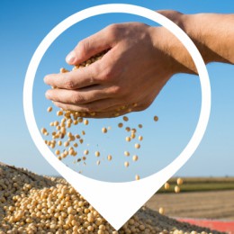 Farmer holding his crop