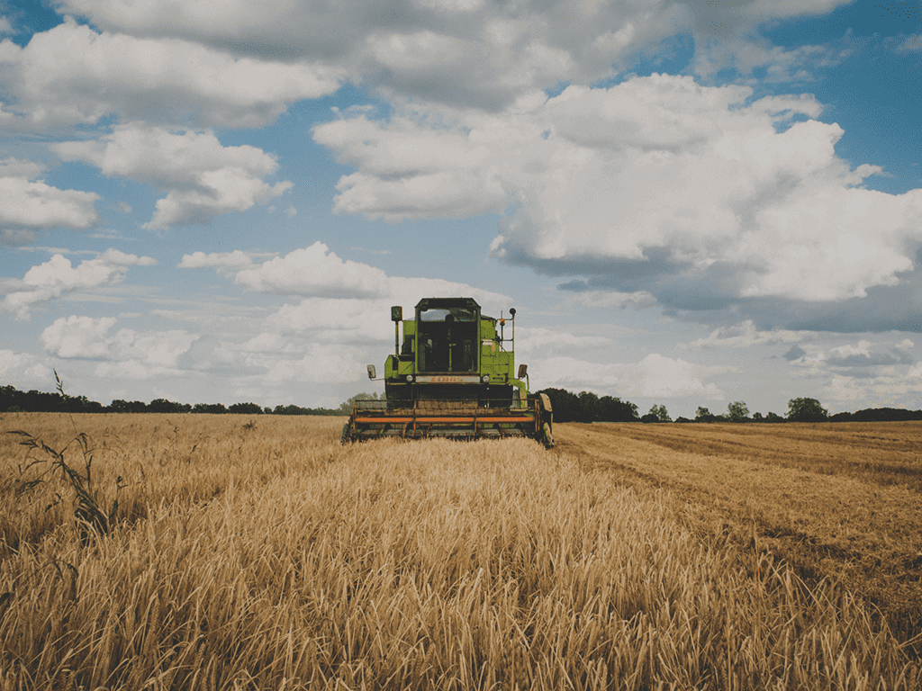 tractor in a field harvesting 